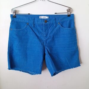 Carve Designs Vibrant Blue Shorts